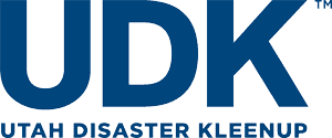 UDK Logo