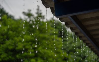 Spring Home Preparation: Essential Tips to Prevent Seasonal Damage